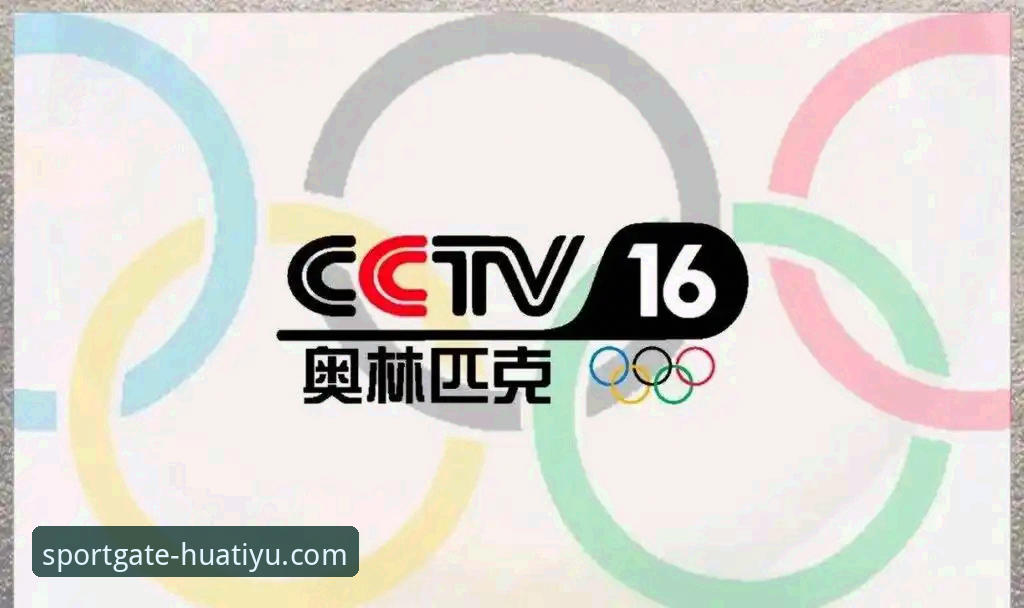 篮球直播新纪元：华体育网B7K3深度分析——从卡顿痛点看高清赛事体验的突破性解决方案